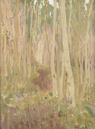 Aspen-Sinfonie, 1902 von Eanger Irving Couse